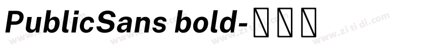 PublicSans bold字体转换